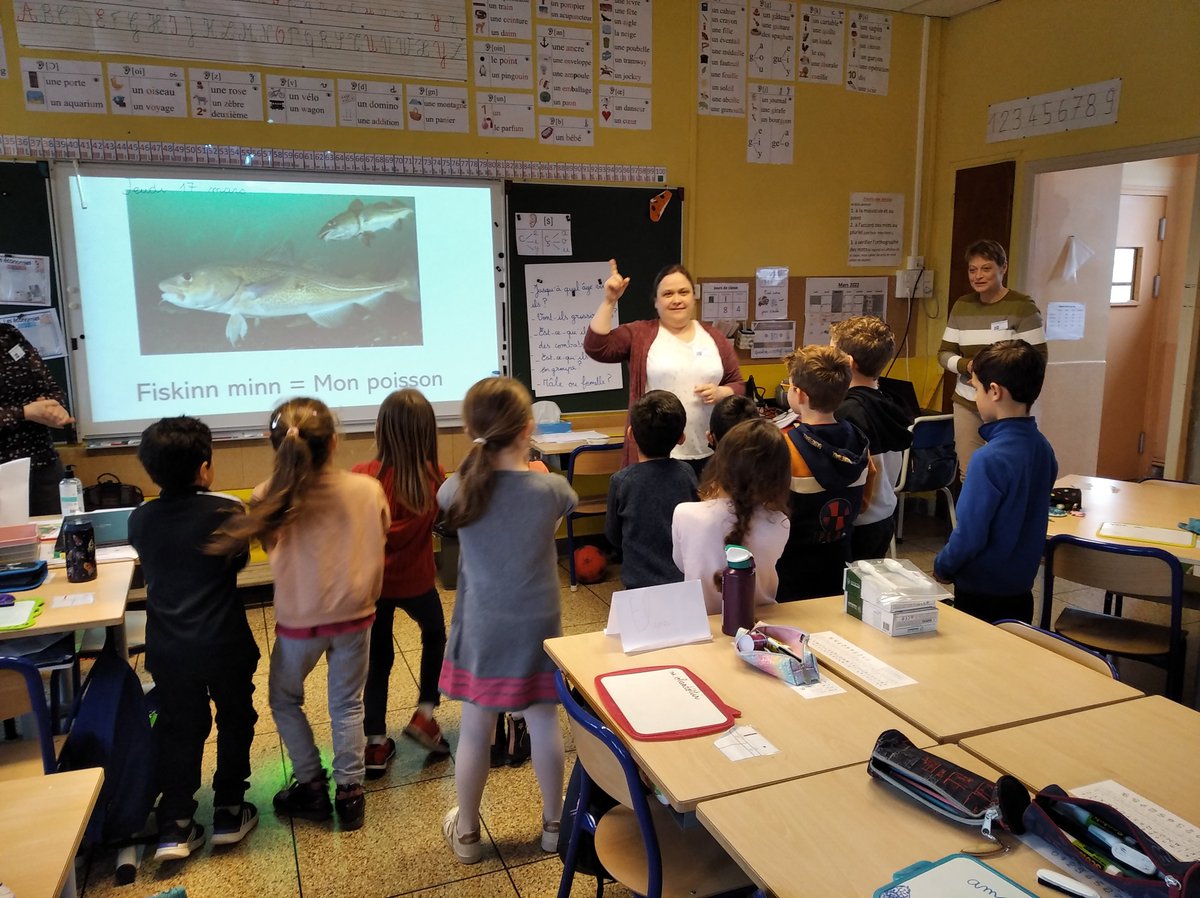 Ecole_Benoit's tweet photo. Les élèves de l'école ont bénéficié de séances menées par nos partenaires afin de leur présenter la culture italienne, estonienne et islandaise (chant, danse, arts plastiques...) https://t.co/vaesL2waz8