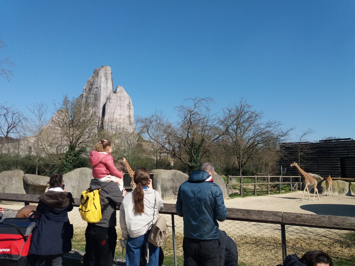 pybureau's tweet photo. Le public au rendez-vous ce week-end pour fêter le début d'une saison toute en sensations au @zoodeparis! Pour l'occasion ce week-end, les enfants de moins de 13 ans bénéficient de la #gratuité pour l'accès au #zoo. #ZooSensationnel #ZoodeParis @Le_Museum https://t.co/No92EerdNX