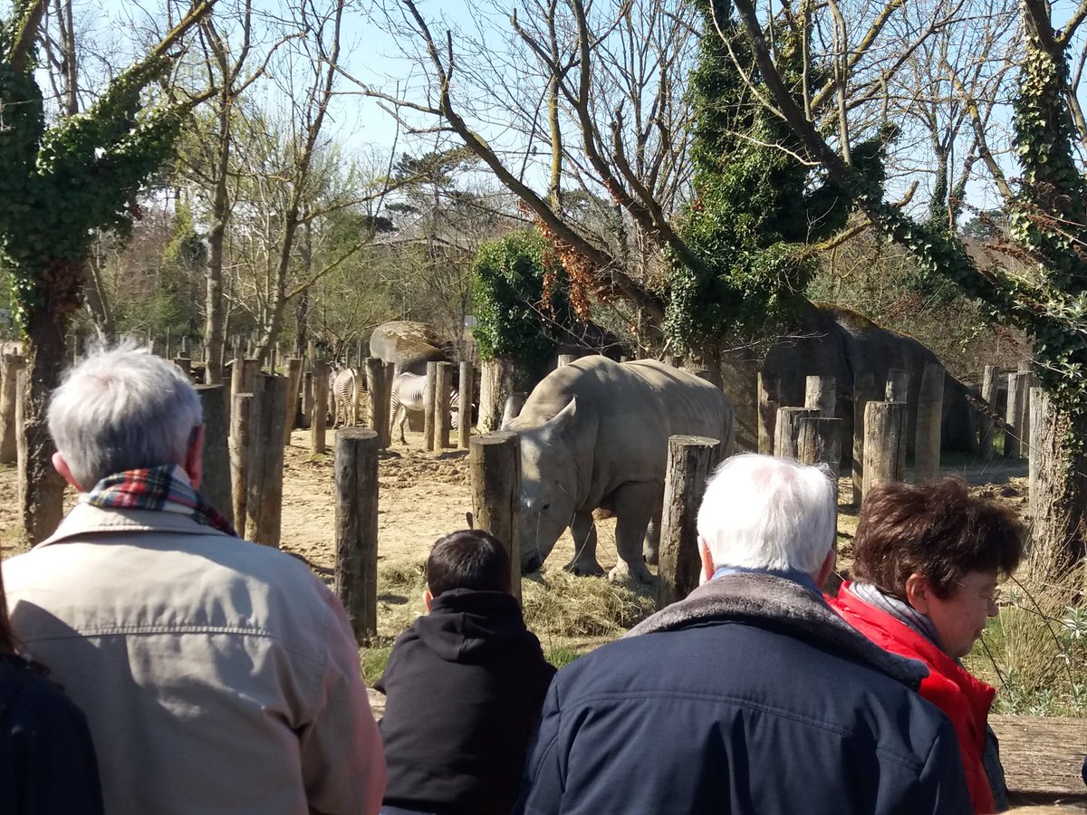 pybureau's tweet photo. Le public au rendez-vous ce week-end pour fêter le début d'une saison toute en sensations au @zoodeparis! Pour l'occasion ce week-end, les enfants de moins de 13 ans bénéficient de la #gratuité pour l'accès au #zoo. #ZooSensationnel #ZoodeParis @Le_Museum https://t.co/No92EerdNX