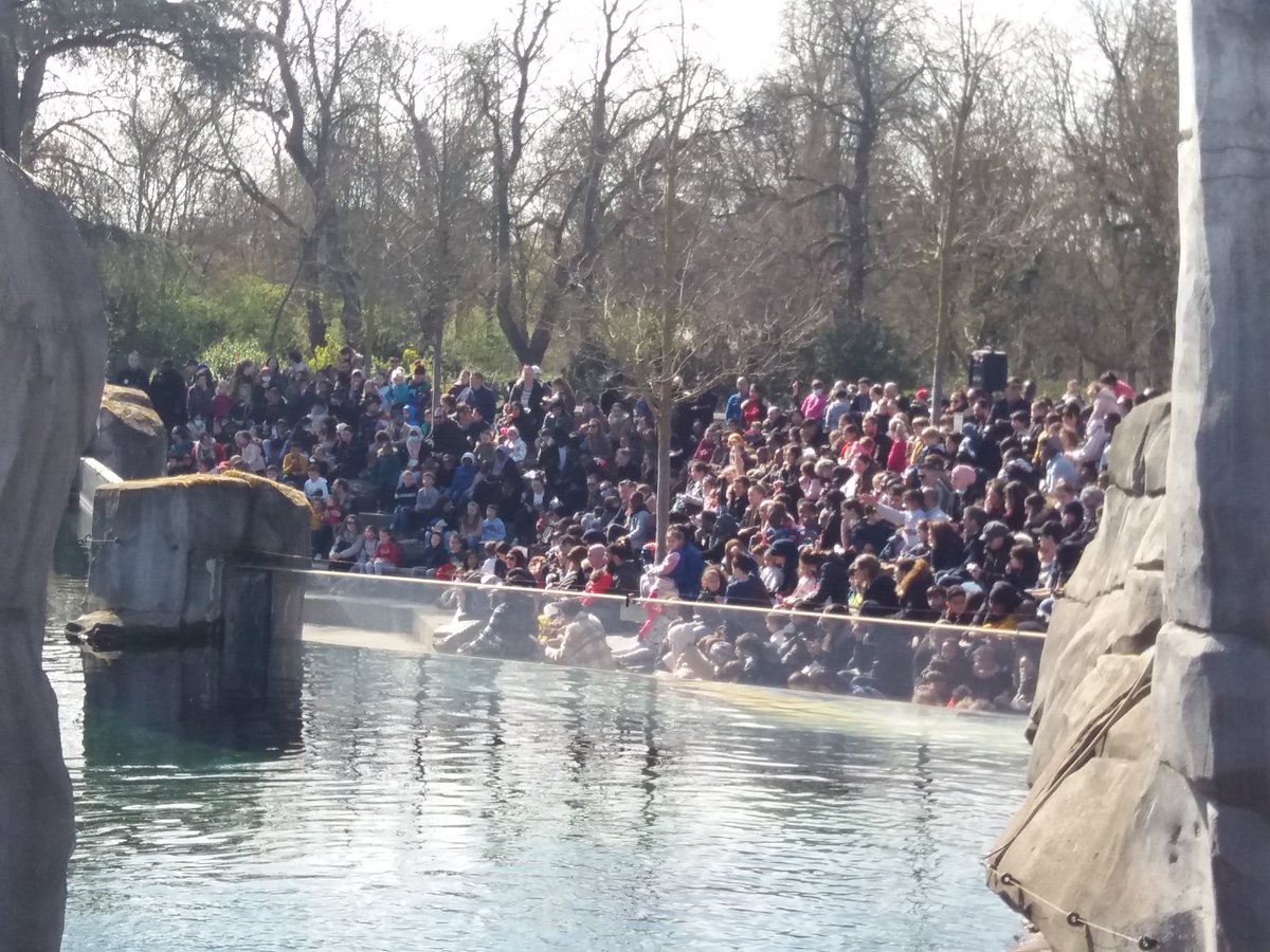 pybureau's tweet photo. Le public au rendez-vous ce week-end pour fêter le début d'une saison toute en sensations au @zoodeparis! Pour l'occasion ce week-end, les enfants de moins de 13 ans bénéficient de la #gratuité pour l'accès au #zoo. #ZooSensationnel #ZoodeParis @Le_Museum https://t.co/No92EerdNX