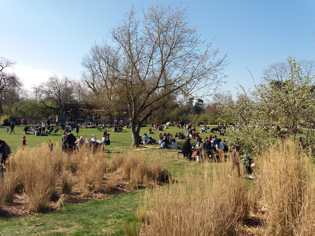 pybureau's tweet photo. Le public au rendez-vous ce week-end pour fêter le début d'une saison toute en sensations au @zoodeparis! Pour l'occasion ce week-end, les enfants de moins de 13 ans bénéficient de la #gratuité pour l'accès au #zoo. #ZooSensationnel #ZoodeParis @Le_Museum https://t.co/No92EerdNX