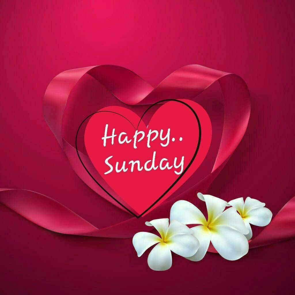 AraabCle's tweet photo. https://t.co/zPyPMGNQDQ