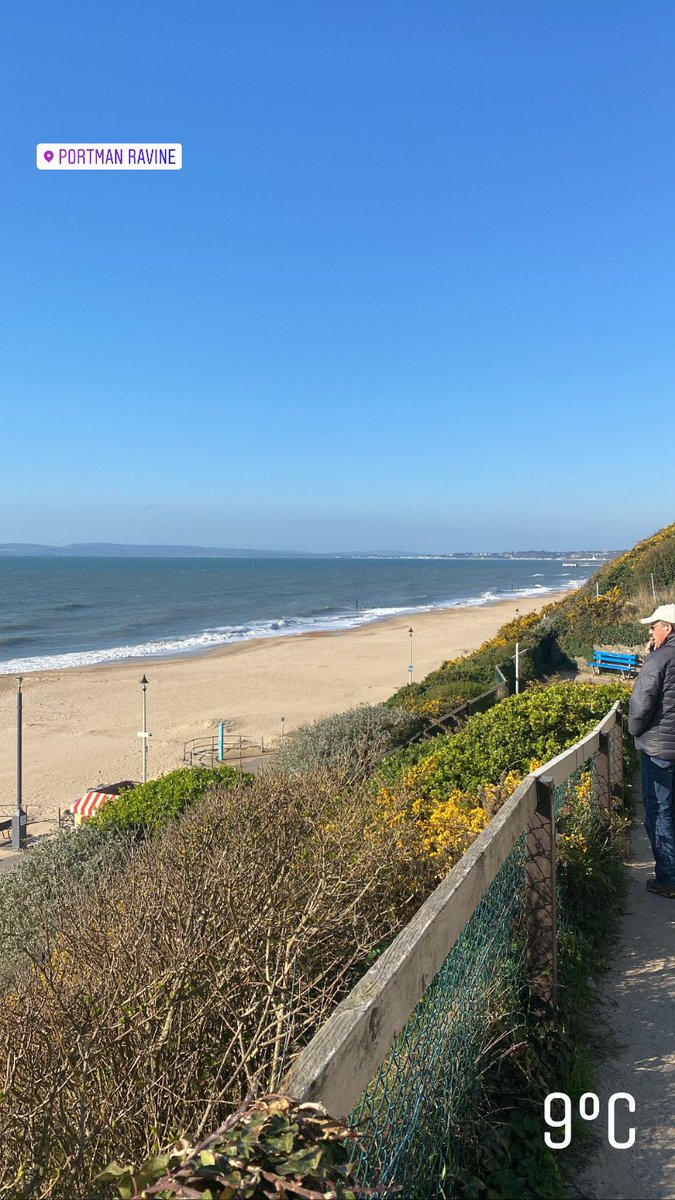 Sunday beach walks 🐶