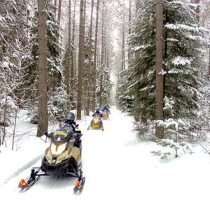Cottage Country Lifestyle Magazine tweet media