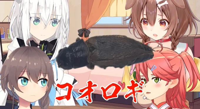 虫食ってたホロが幕張貸切った大型ライブやるようになるとは… 
