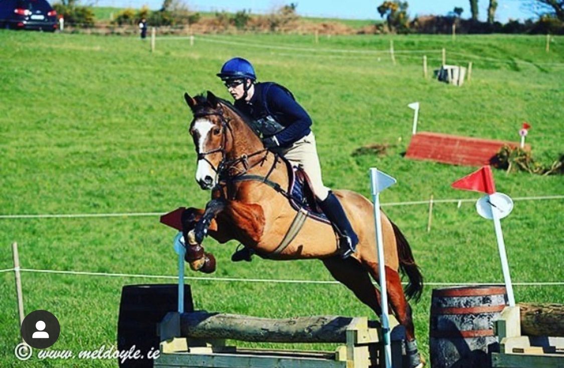 TreoEileRIR's tweet photo. 😎 Fab sunny day at @punchestownrace Hunter Trials and great to see MARCHESE MARCONI back in action for Brian Cushe!
The former @JosephOBrien2 gelding, a son of Galileo, won 6 races on the Flat and over hurdles for JP McManus. #stillflying #retrainingracehorses https://t.co/o6kaGpFkos