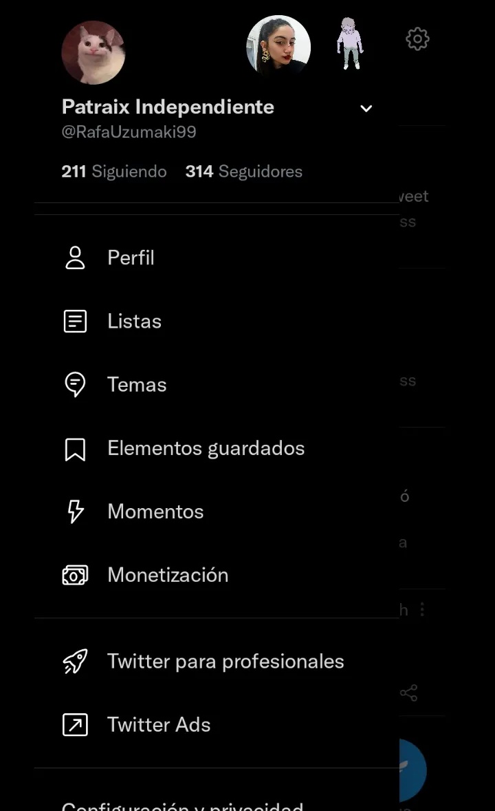 Patraix Independiente tweet media