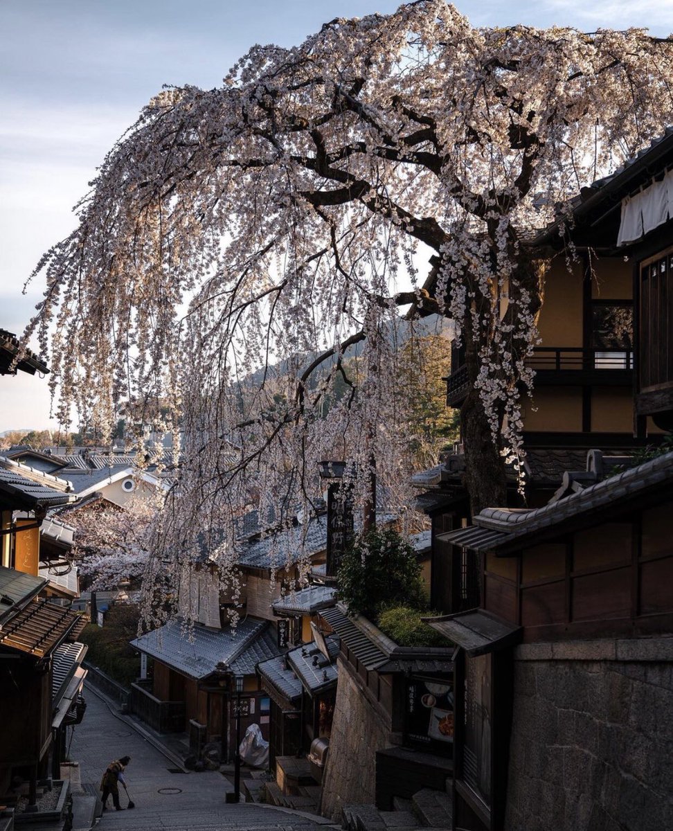 japaxnn's tweet photo. Streets in Japan https://t.co/gGAfSwhvdT