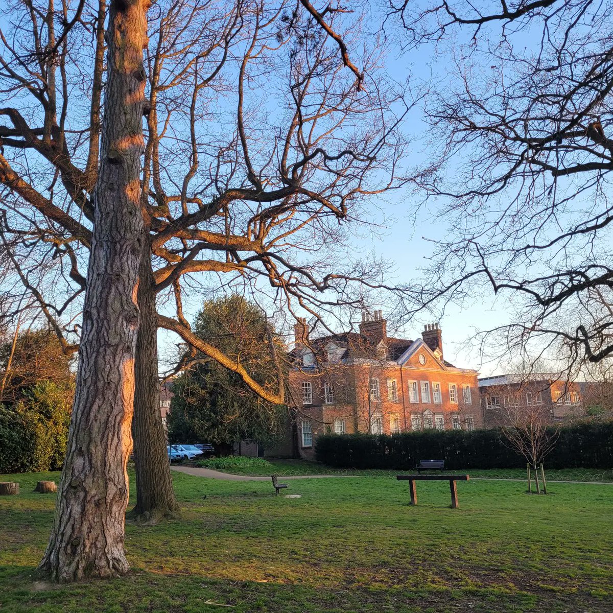 Horsham Focus tweet media
