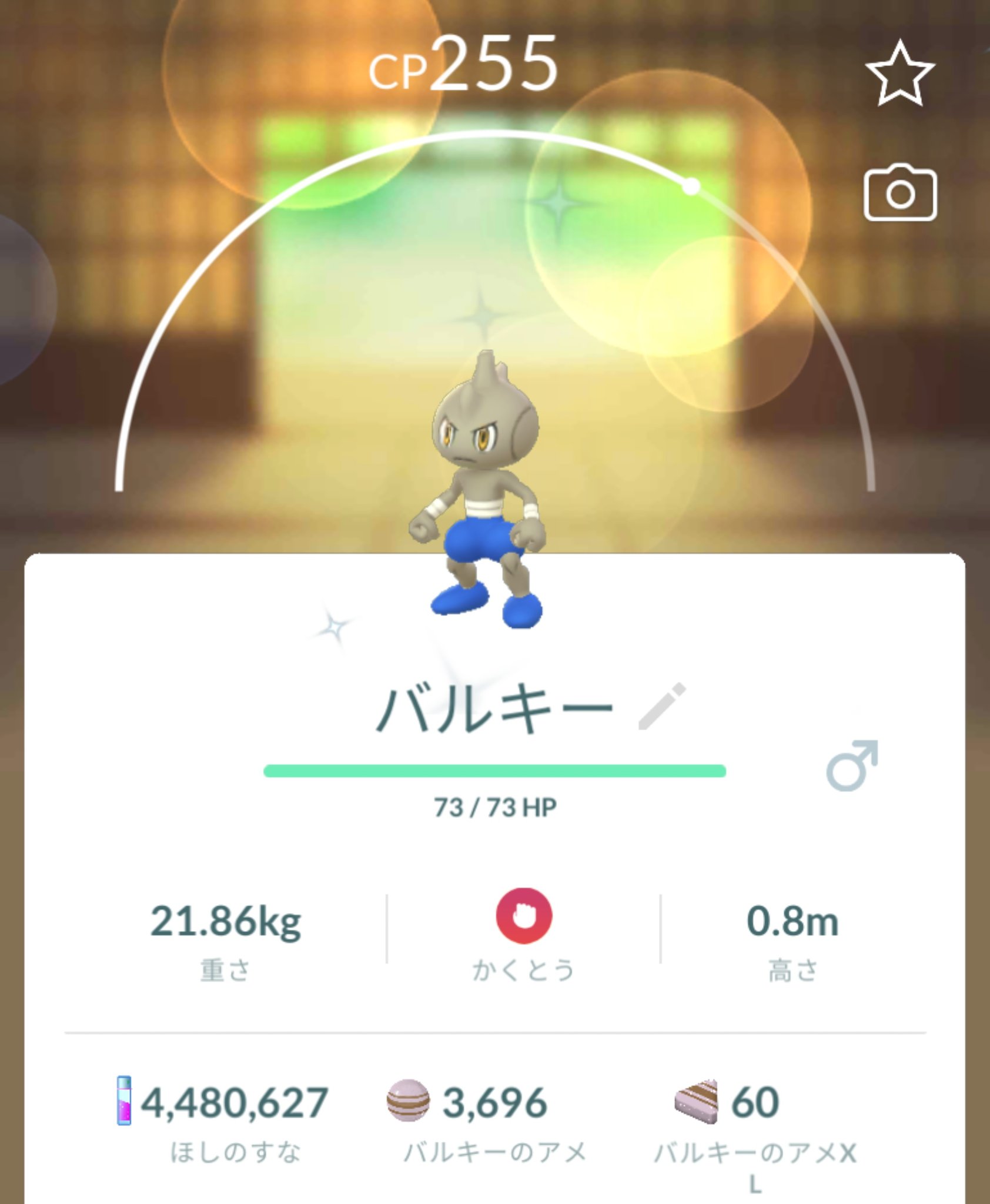 バルキー Twitter Search Twitter