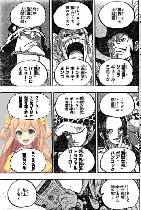 道化のバギーさま専用 Www Vetrepro Fr