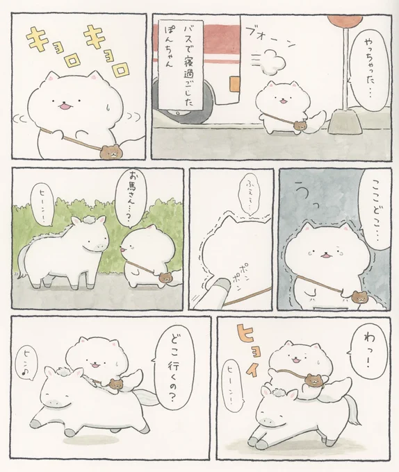 ぽんちゃんと白いお馬さんのお話🌷 