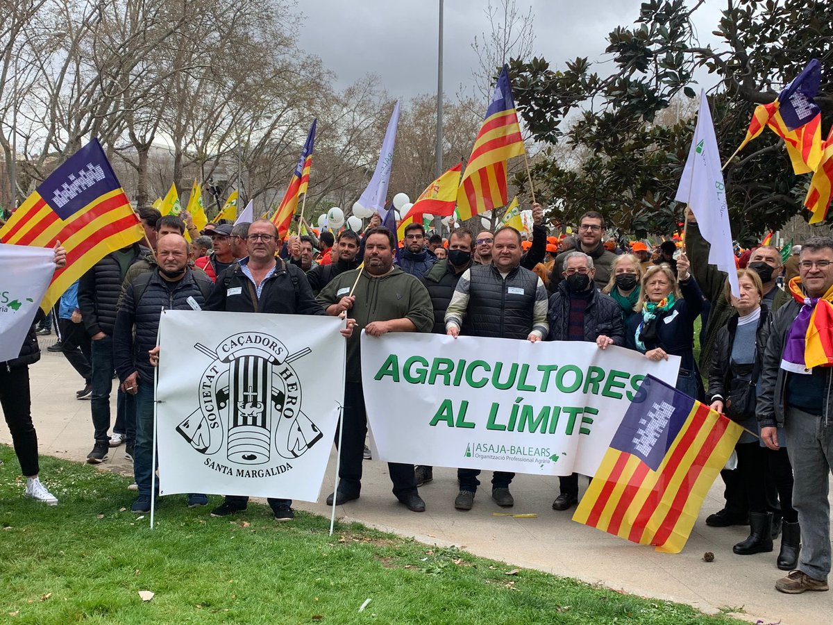 ppbalears's tweet photo. 🔵 El nostre secretari d’Organització @Tia_Sagreras ha acompanyat avui els nostres pagesos i ramaders en representació del @ppbalears a la manifestació del #20M a Madrid en defensa del nostre món rural. 🚜

#JuntosporelCampo https://t.co/jfWjSozjRc