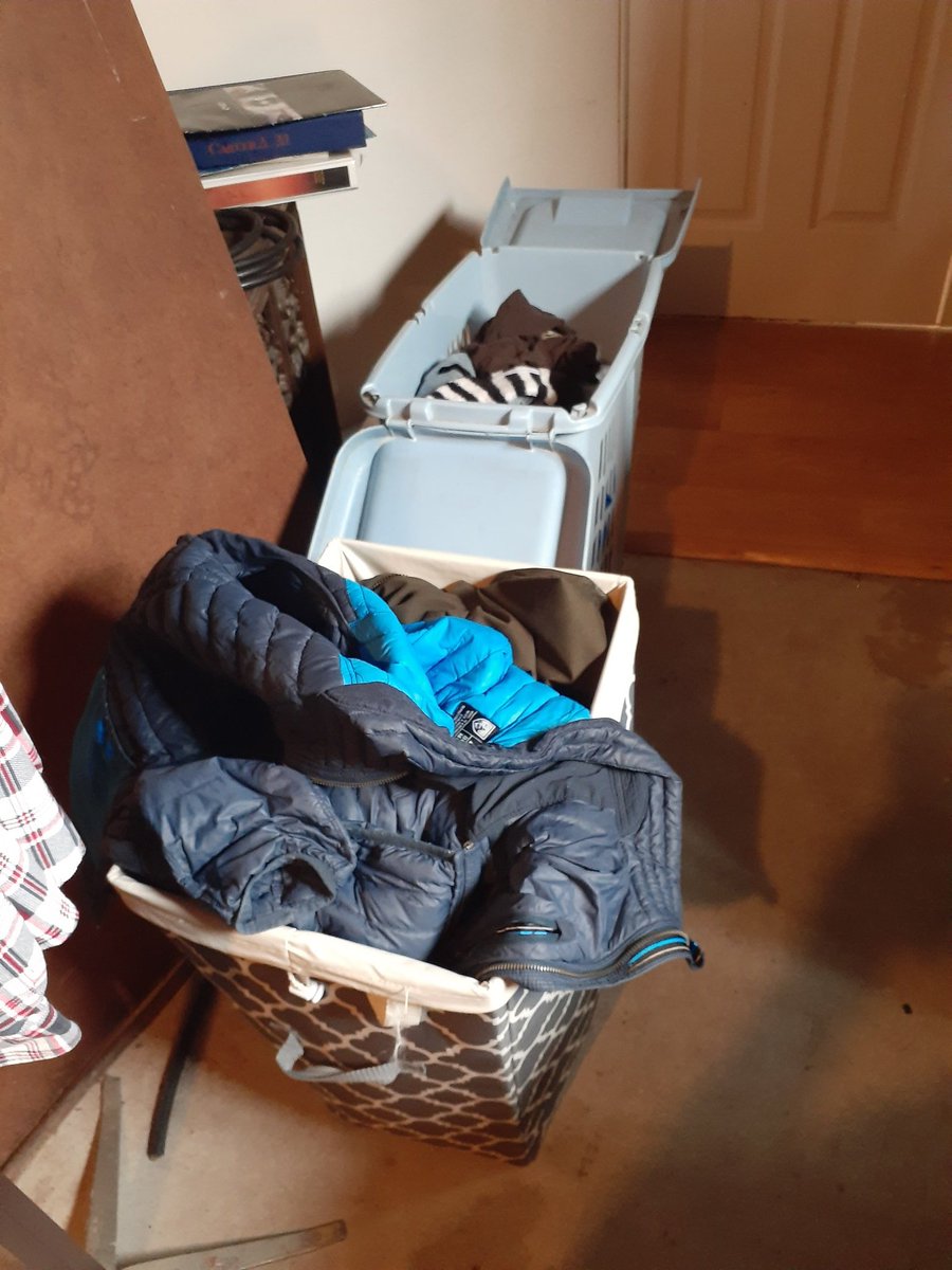 Isabel Dias tweet media