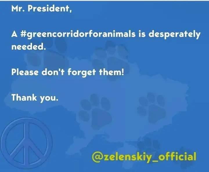 Don't forget about them!!!  <a href="/ZelenskyyUa/">Volodymyr Zelenskyy / Володимир Зеленський</a> #greencorridorforanimsals  #Бородянкa #Kiyv #Chernihiv #Kherson #UAnimals #StandWithUkraine #StopPutinNOW