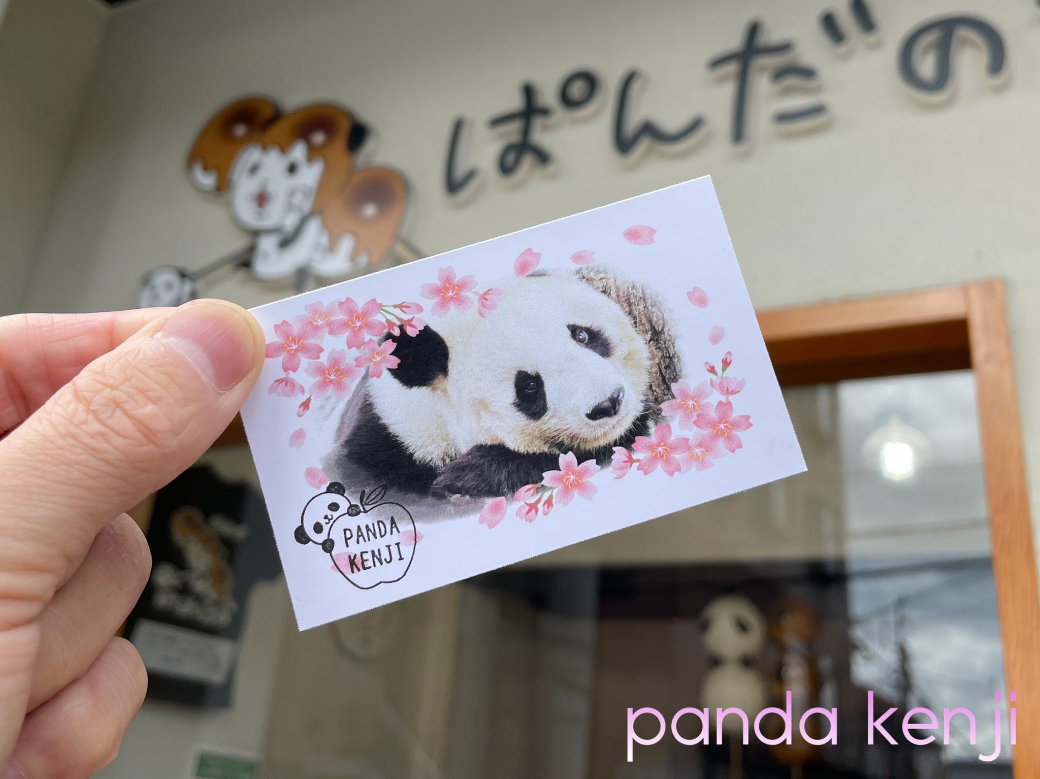 Panda Kenji Panda Kenj1 Twitter