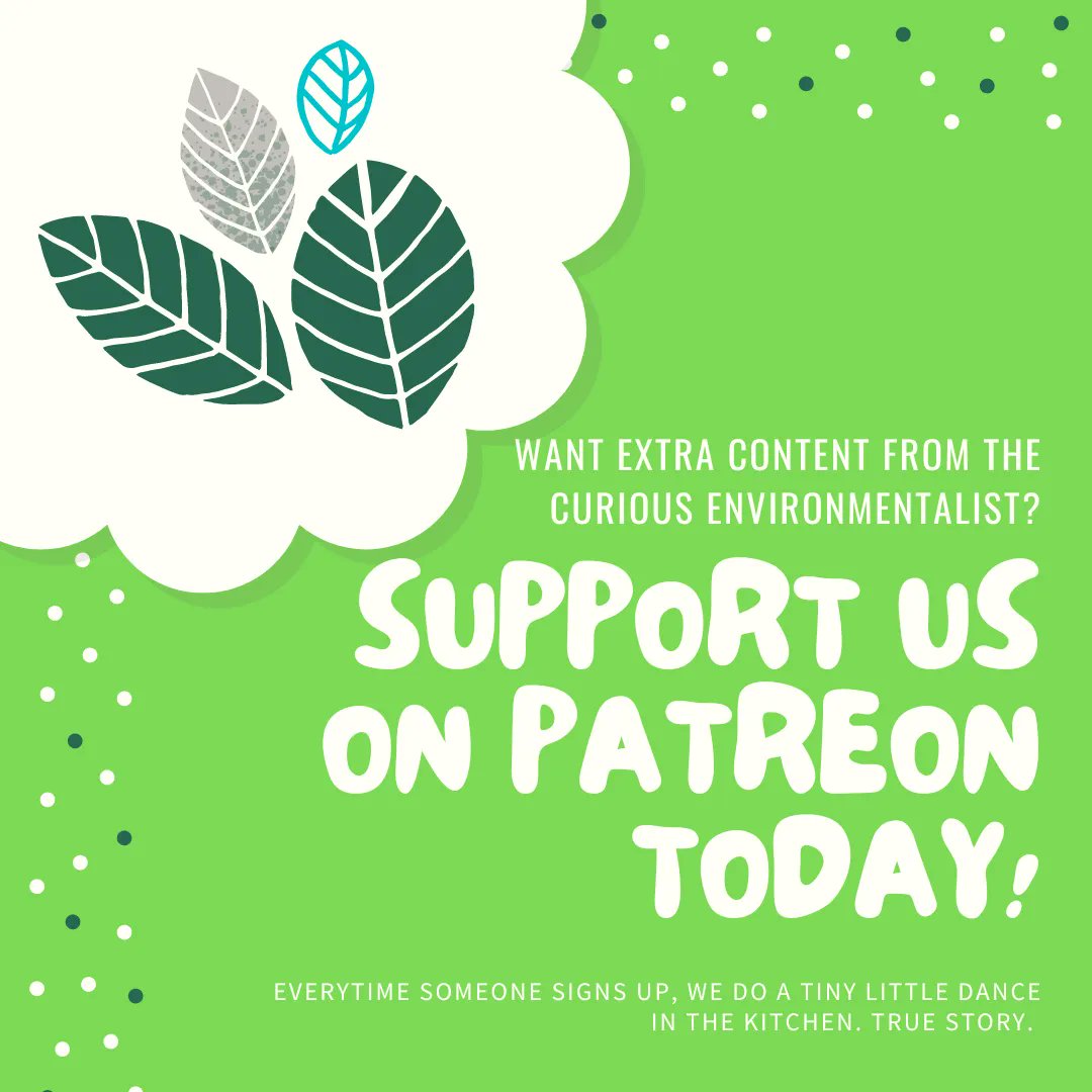 curiousenviron's tweet photo. We are excited to share our #Patreon account for those of you who want more #environmental content. Do you ideas for content? Let us know! #EnvironmentalBlogger #EnvironmentalVlogger #EnvironmentalPodcast #SustainableIdeas #PatreonSupporters https://t.co/UqBYrenHjz π± https://t.co/rGcnnHgXAz