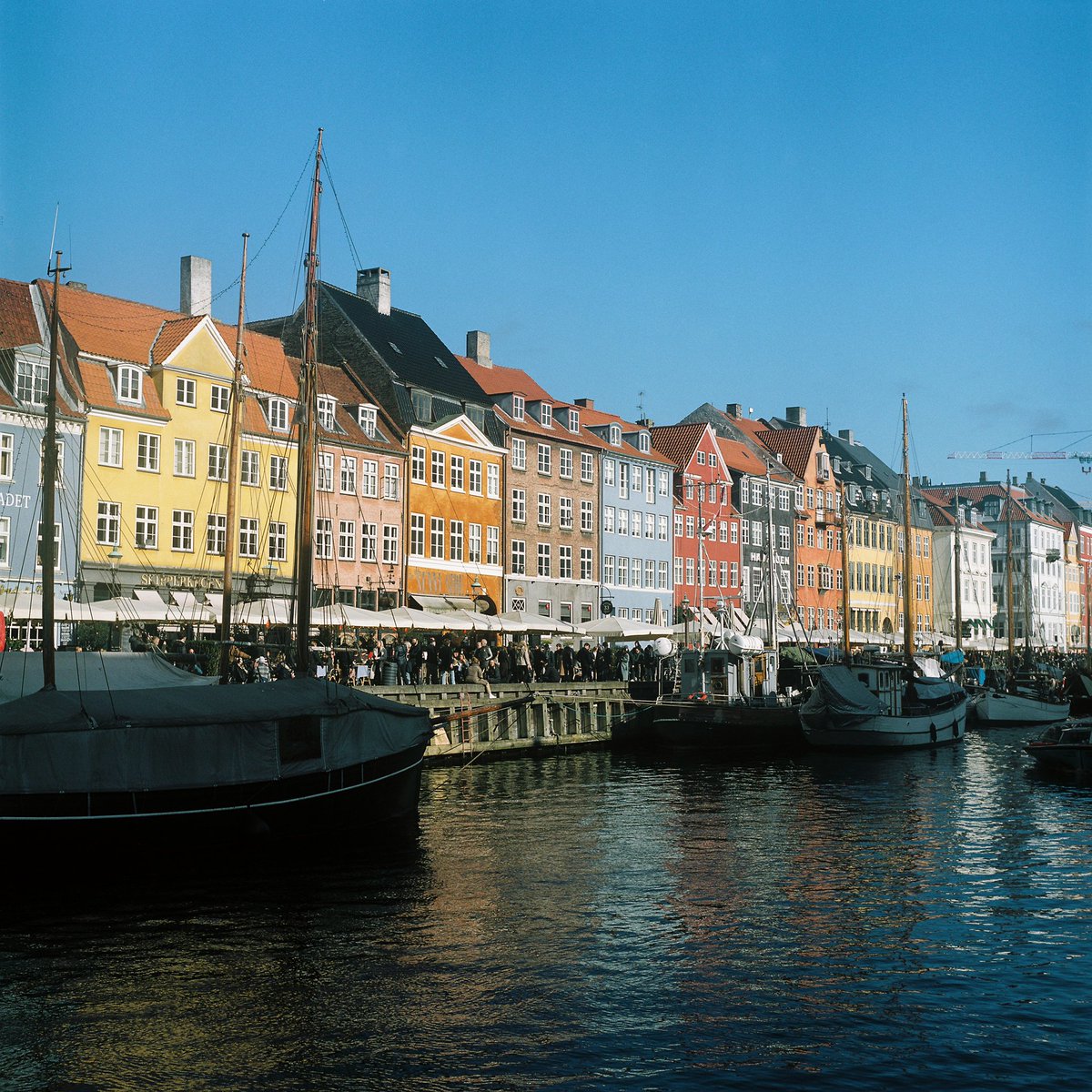 marcargentique's tweet photo. Postcards from København. #120film #yashicamat124 https://t.co/cCYd4bzo1k