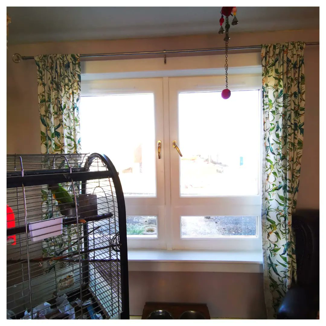 GeerafDecorator's tweet image. 🏠Here we have photos of some windows and doors recently painted in the house in Livingston🚪

👩‍🎨We used #duluxtrade products on this project 👩‍🎨