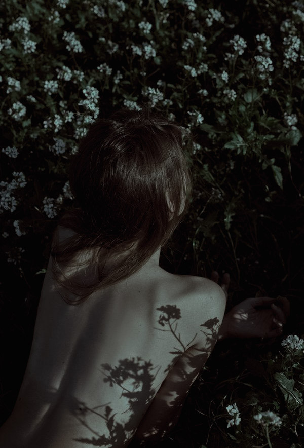 ᅠ
ᅠ
ᅠ 
                        𝔅𝔦𝔯𝔡’𝔰 𝔡𝔢𝔩𝔦𝔤𝔥𝔱,
                        𝔇𝔞𝔶 𝔞𝔫𝔡 𝔫𝔦𝔤𝔥𝔱,
                           𝔑𝔦𝔤𝔥𝔱𝔦𝔫𝔤𝔞𝔩𝔢

   — 𝔖𝔭𝔯𝔦𝔫𝔤, 𝔚.𝔅𝔩𝔞𝔨𝔢

ᅠ
ᅠ
ᅠ