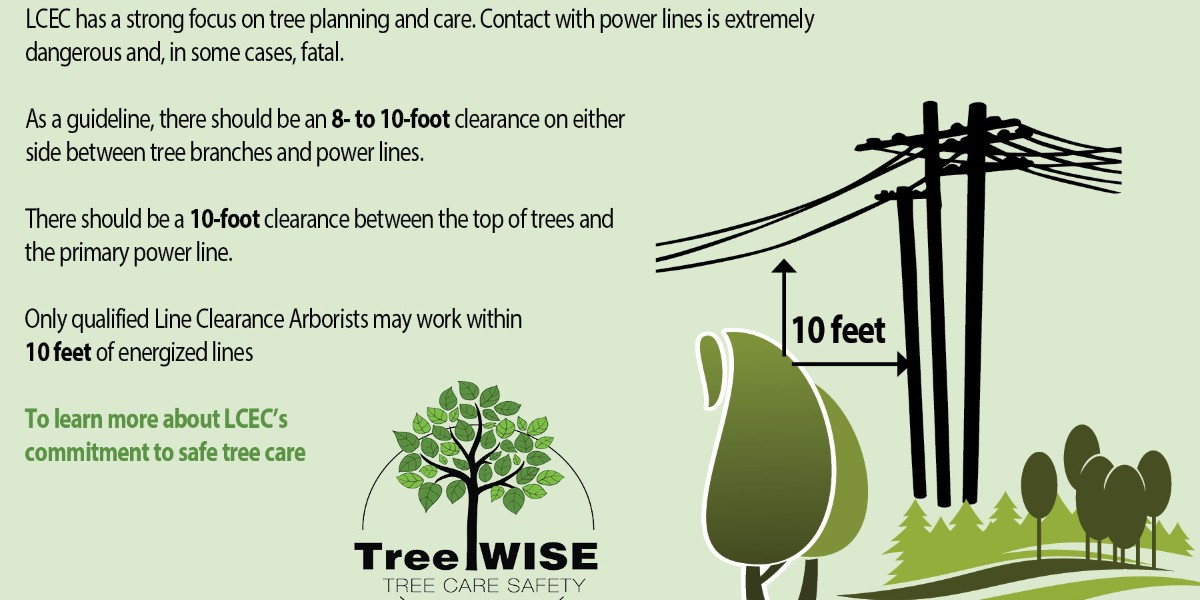 LCECSWFL's tweet photo. Trees and power lines donβt mix, be Treeπ³WISE to avoid injury! #Safety #TreeWISE https://t.co/eXGldp0sod
