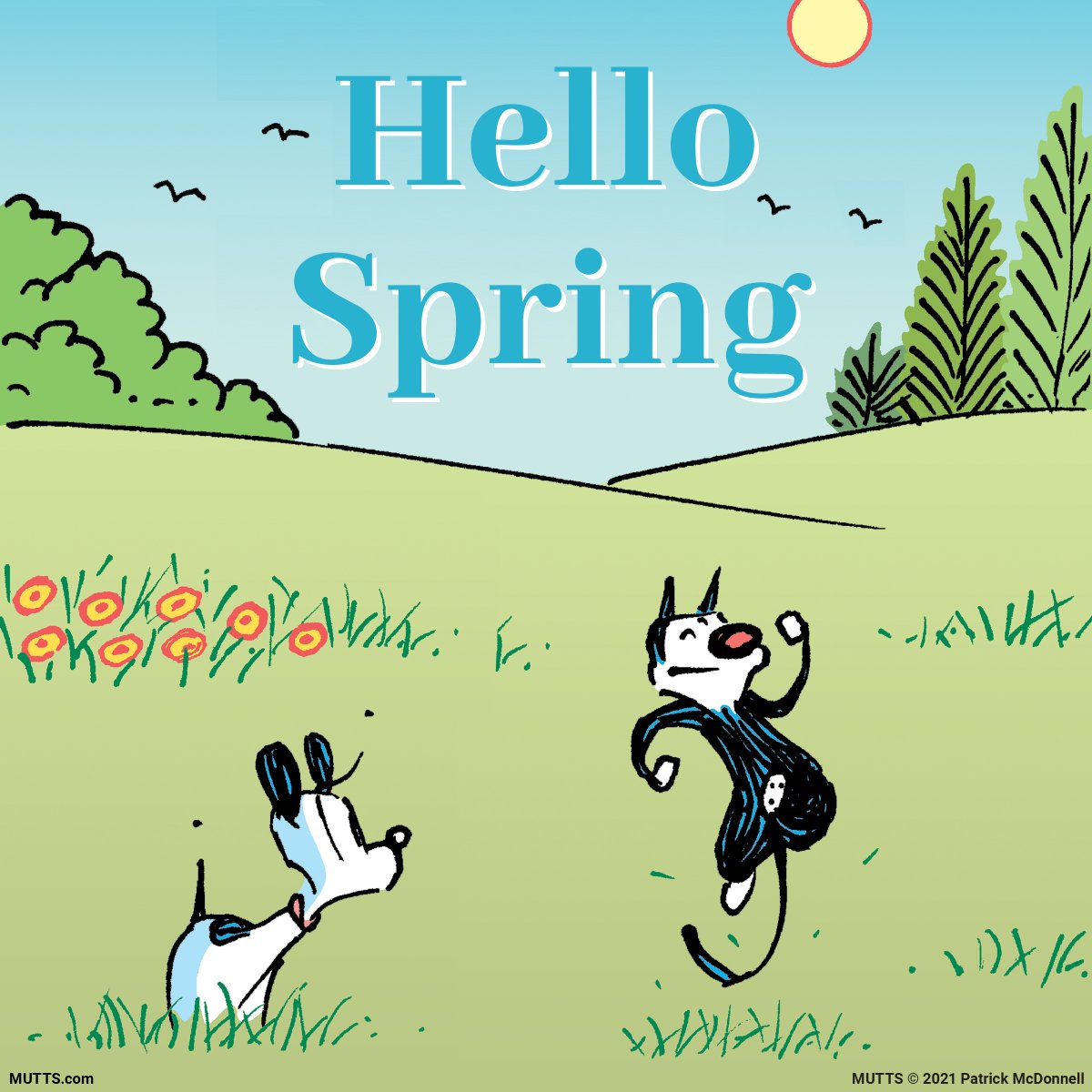 Spring has shprung!