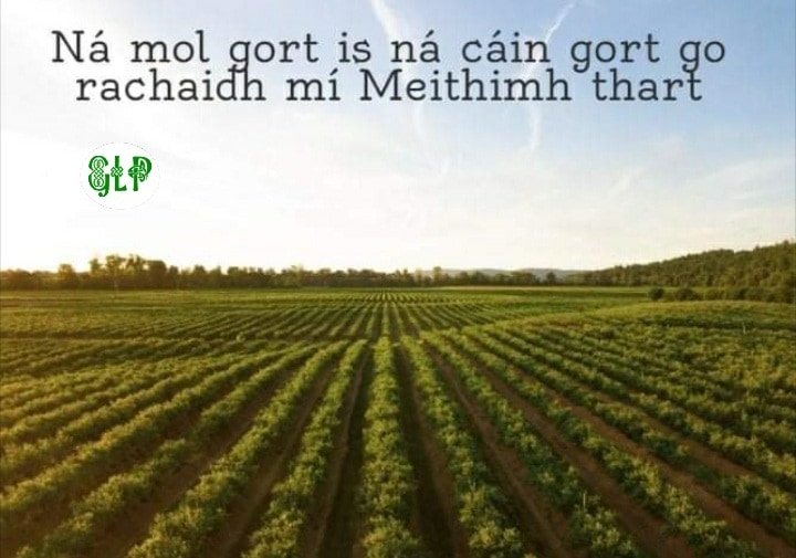 GaeilgeP's tweet photo. NĂĄ mol gort is nĂĄ cĂĄin gort go rachaidh mĂ Meitheamh thart #gort #moladh #feirmeoireacht #seanfhocal #gaeilge #gaeilgelepĂĄd #glp https://t.co/n9oduyppRV