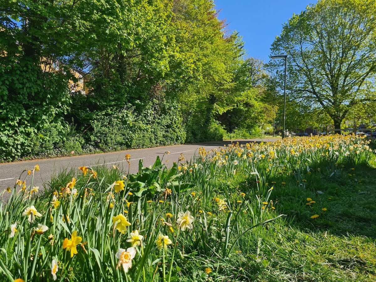 reigatebanstead's tweet photo. π± It's the first day of spring and we are looking forward to enjoying the beautiful greenspaces in our borough πΌ
Look closely for signs of spring while you are out and about, and share your photos with us!
#MyRBBC #Banstead #Horley #Redhill #Reigate #SpringHasSprung https://t.co/RCdCCSFiPc