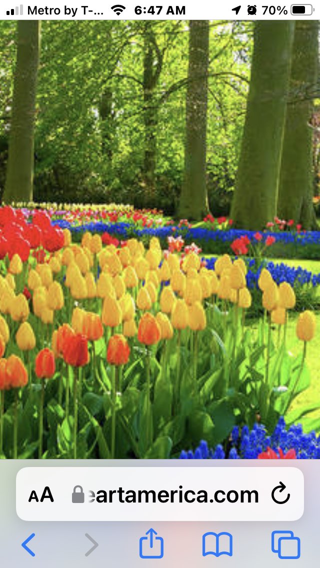 BillGorman17's tweet photo. WELCOME SPRING-New life, light, color and warmth-food for the soul! https://t.co/K93RIdfk6W