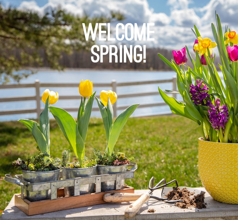 MetrolinaGHS's tweet image. Happy First Day of Spring from Metrolina! #firstdayofspring #metrolinagreenhouses #getoutandgrow