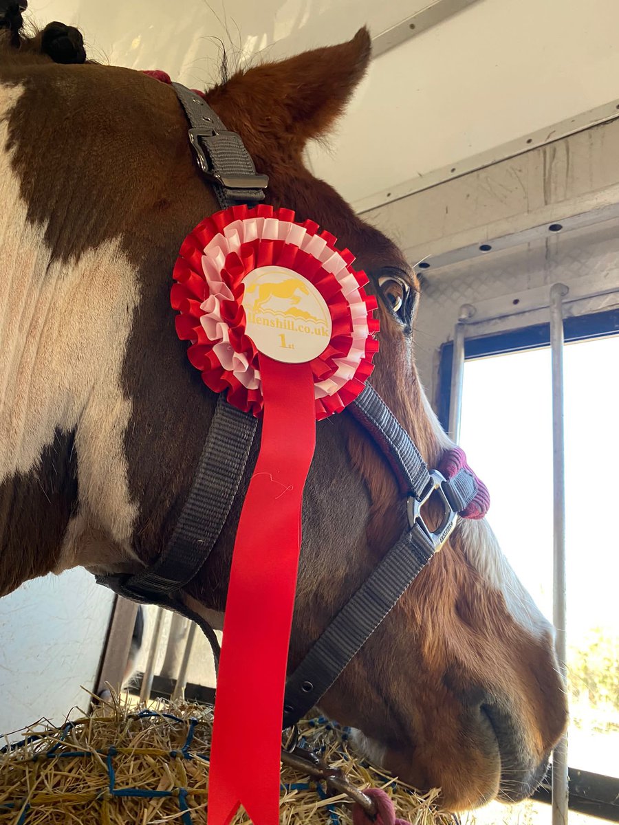 paraequestrians's tweet photo. It’s a win for Di and Scout as they start their campaign for his international selection. A huge score of 73.57% gets them off to a great start at their first show together 🥇🇬🇧🐴  
#ponyhour #paradressage #dressage https://t.co/3exEYbHjwg