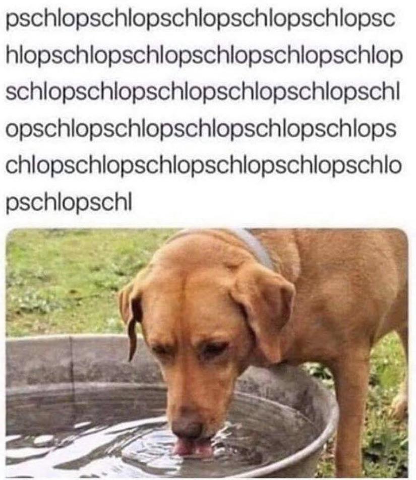myunclesmemes's tweet photo. Not mine but worth sharing https://t.co/jd49BArLq3