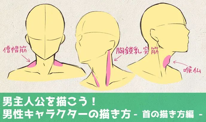 ichiup_net's tweet photo. 男主人公を描こう！ 男性キャラクターの描き方 - 首の描き方編 -

男性キャラクターを描くときにぜひご参考に🌟
https://t.co/C5hibWG6LX
#絵が上手くなる記事はコレ https://t.co/TMP0mZQEHT