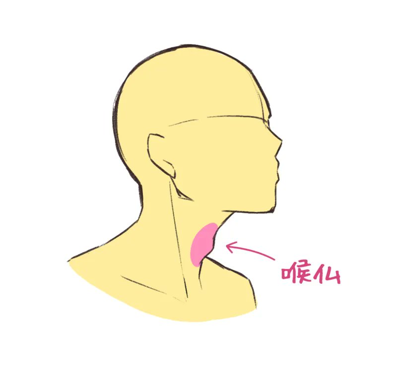 ichiup_net's tweet photo. 男主人公を描こう！ 男性キャラクターの描き方 - 首の描き方編 -

男性キャラクターを描くときにぜひご参考に🌟
https://t.co/C5hibWG6LX
#絵が上手くなる記事はコレ https://t.co/TMP0mZQEHT