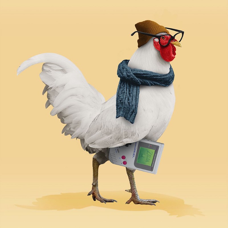 chikn_nft's tweet photo. 🐔Roostr Details Revealed🐔

A new token 🌱, Roostr fundamentals and a slight change of plan…

Read more below:

https://t.co/HJiAfFIQkx https://t.co/aDHSqZKtEo