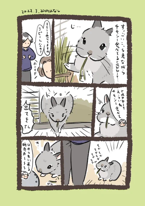 今日のrabbit…
#うさぎのいる生活 