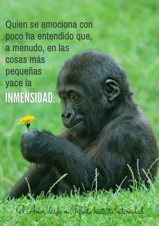 avanzandoacasa's tweet photo. 🙏🙏🙏 https://t.co/NEhiErqetV