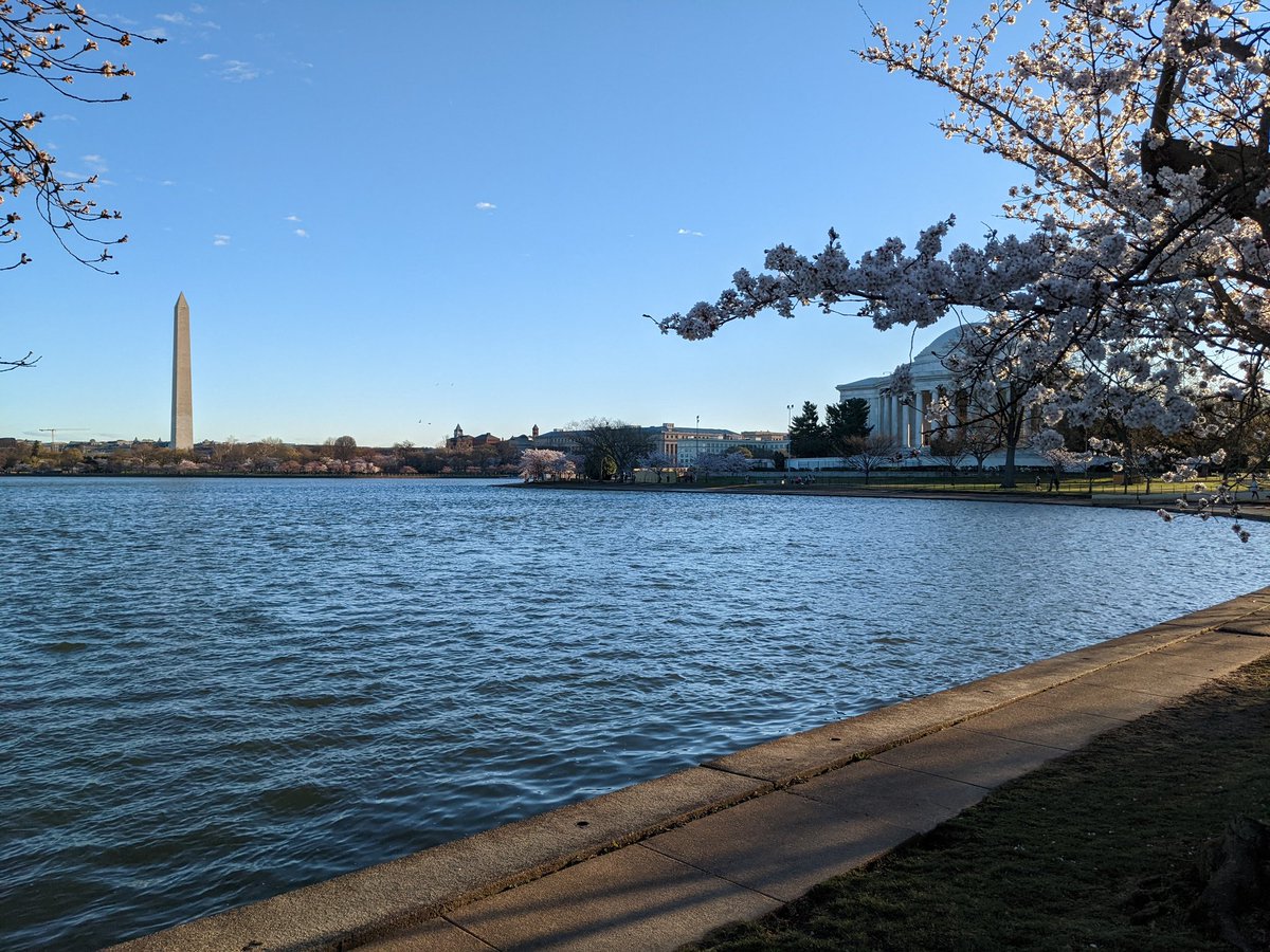 megkcohen's tweet photo. Not a bad backdrop for my convos with @wusa9 @nbcwashington and @weatherchannel today! Happy #FirstDayofSpring 🌸🌸🌸! https://t.co/fv9tMZ3sYZ
