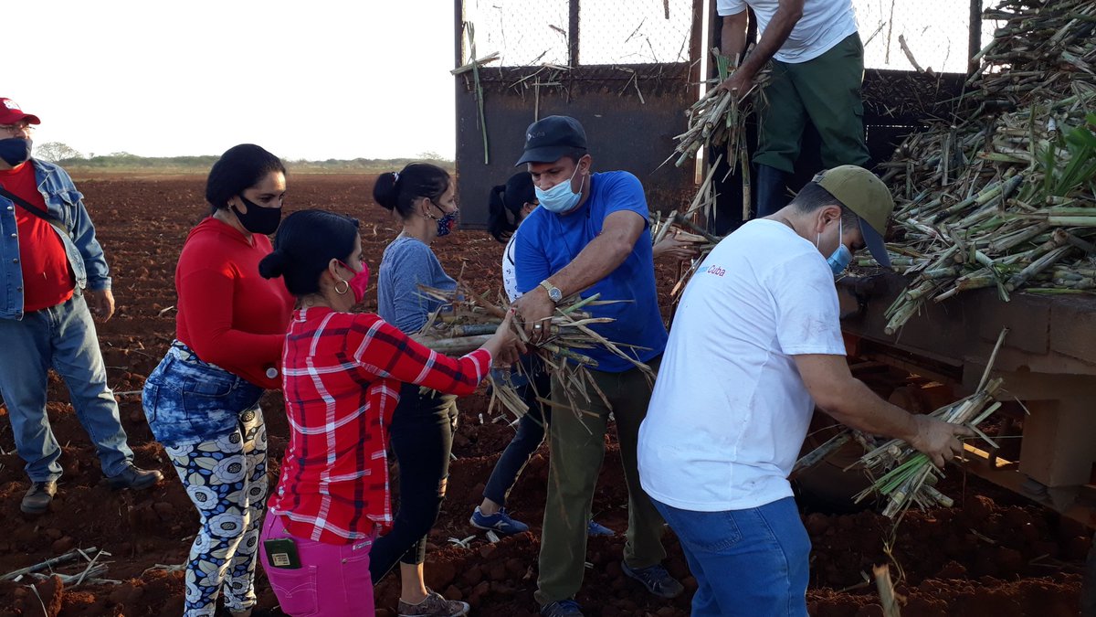 Cuba_CTC's tweet photo. La fuerza de un país está en sus trabajadores. #Cuba #CubaViveYTrabaja #1Mayo #CTCuba #CubaViveyVence https://t.co/ZshBWdYCib