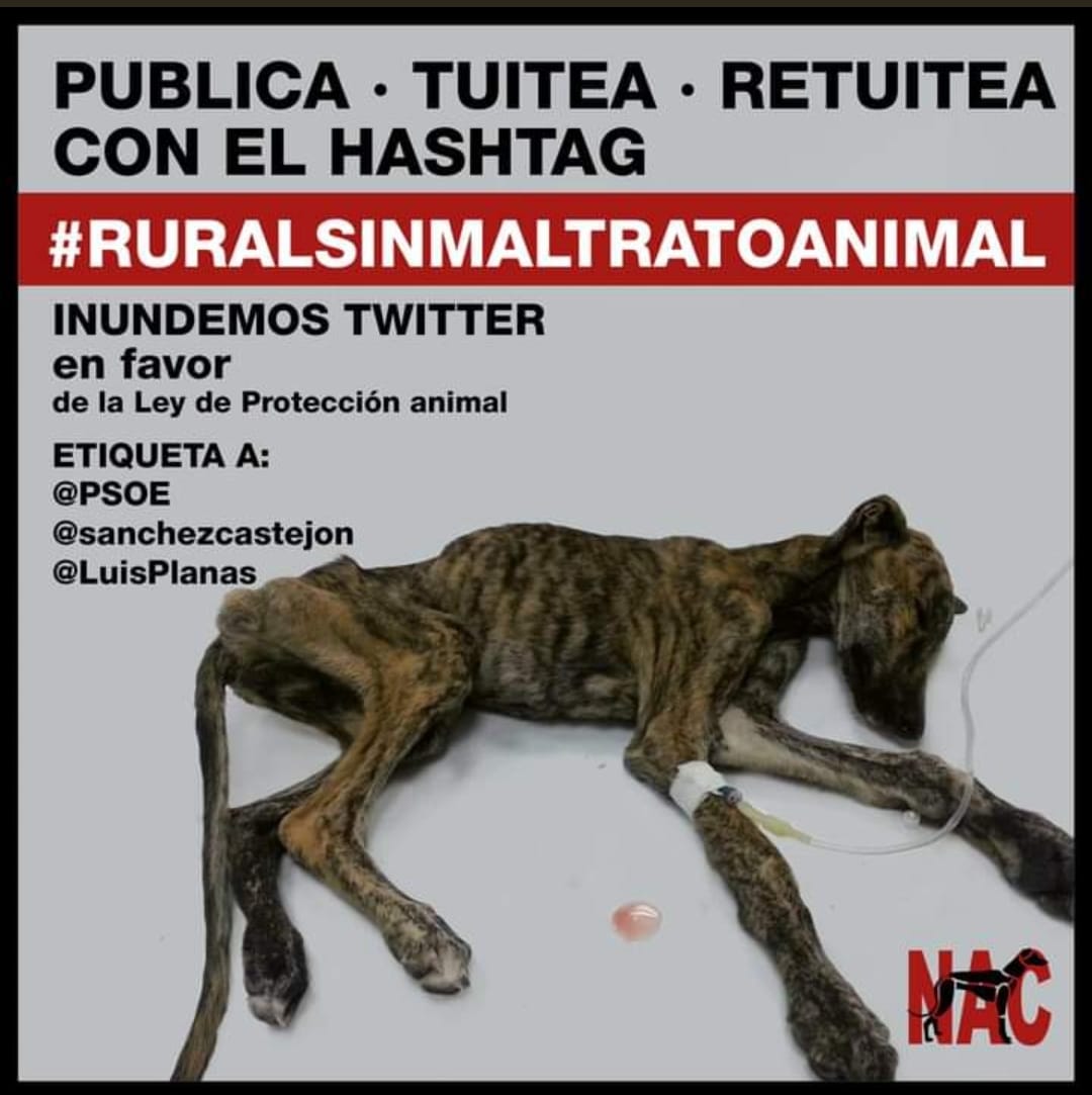 Monica Escudero tweet media