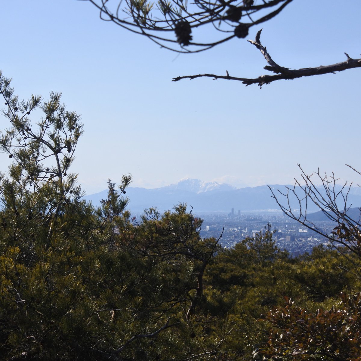 TanukiKash's tweet photo. I live in one of the most populated parts of #Japan, but right behind my house is a massive 1600+ km trail network- you quickly enter into bear territory!

In Canada, wild feels remote, separate, but here, wild is different. It knocks on the door of steel modernity. 

#WildMM https://t.co/VU0zp9RUGU