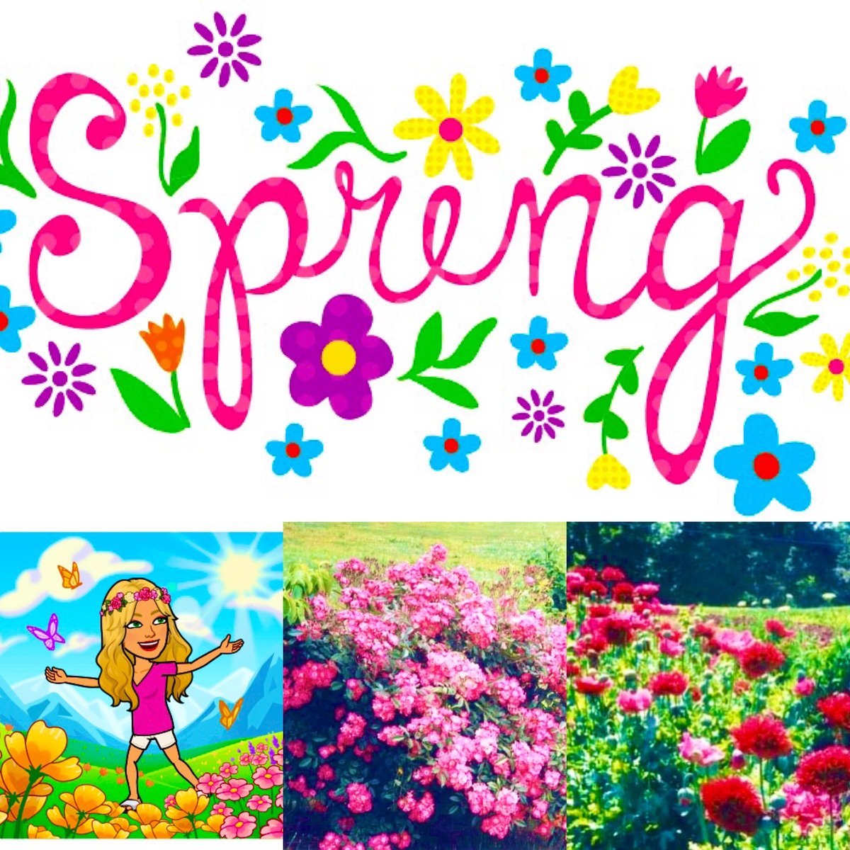 Happy Spring Equinox!
🌺🌸💐🌺🌸💐🌺🌸