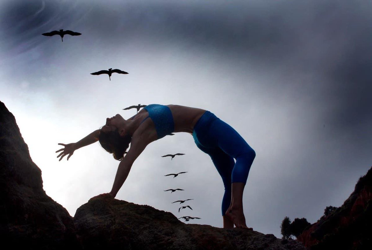 May we always remember to point towards the beauty and wonder of our incredible world.

Soaring Pelicans ~ Pictured with Noelle Beaugureau at Matador Beach in Southern California.