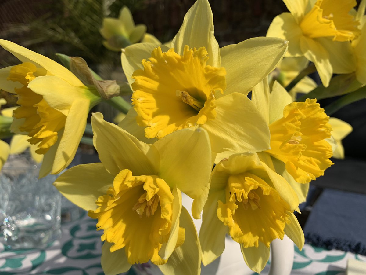 Stefan McLaren tweet media