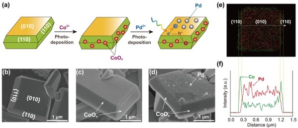 Researchers create a new record for H2O2 photosynthesis with inorganic semiconductor #photocatalysts and shed light on applying robust inorganic particulate photocatalysts to artificial #photosynthesis.

zju.edu.cn/english/2022/0…

#ZJUresearch #ZJUer #liquidfuel