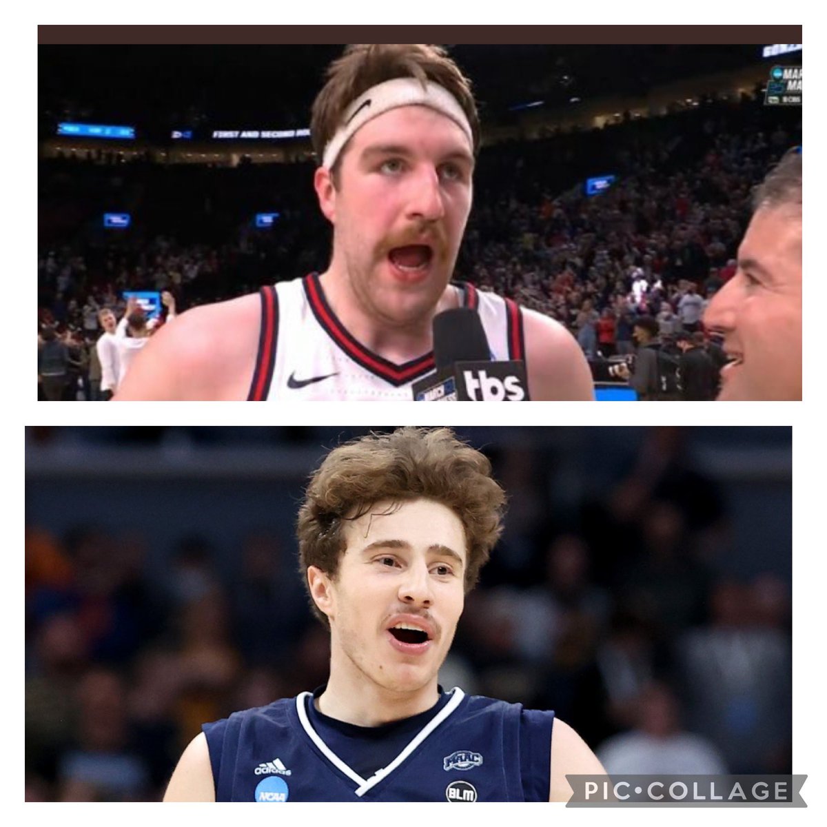 This is definitely the #yearofthepeacock but may also the year of the caterpillar. Hey <a href="/AuburnMBB/">Auburn Basketball</a> who do we have that can grow some upper lip hair quickly? #auburntwitter #peacock #upperlipholstery #facelace #mustachio #marchmustache <a href="/ZagMBB/">Gonzaga Basketball</a> <a href="/PeacocksMBB/">Saint Peter's Men's Basketball</a>