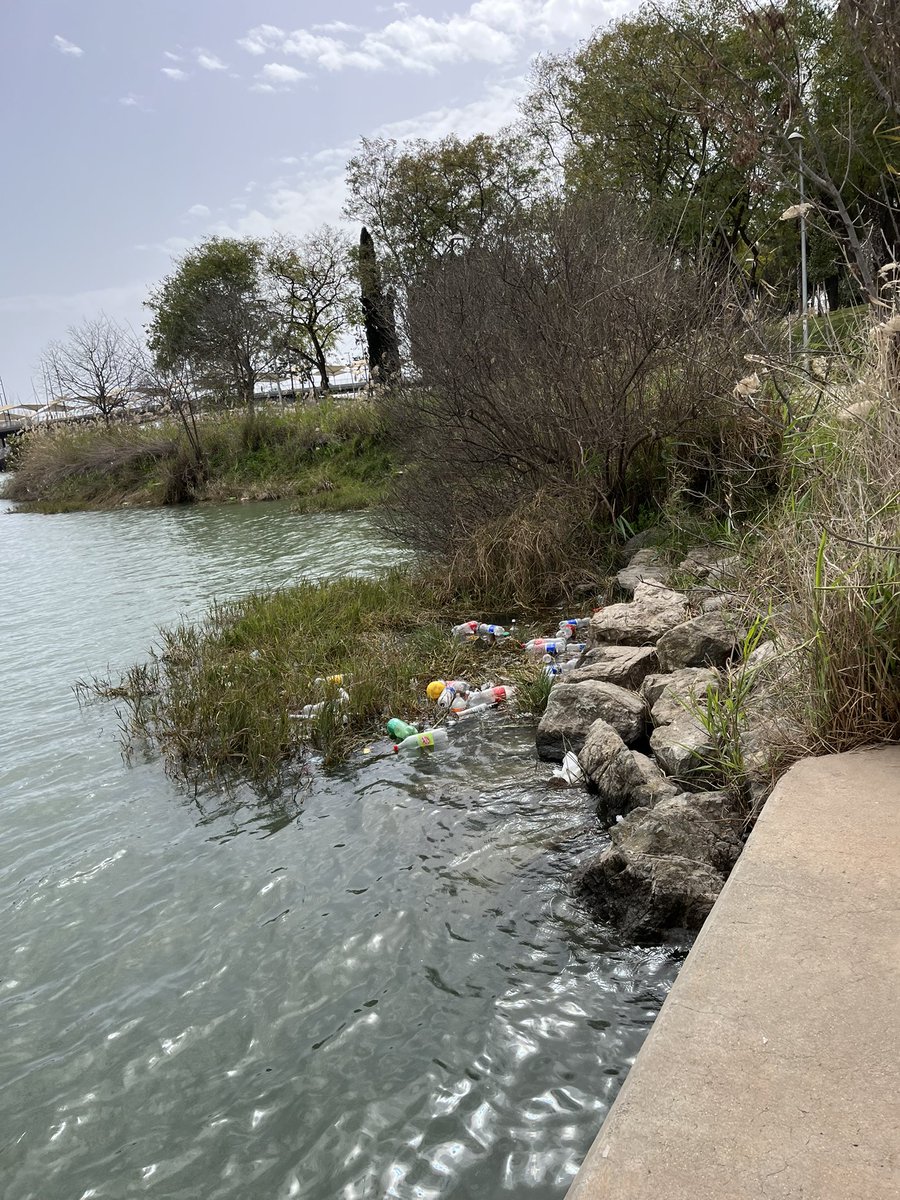 Rosario Gª de Zúñiga tweet media