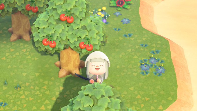 さくらんぼの離島に行けました〜🍒 今日は寝るまで島クリがんばっちゃうもんね⸜(๑⃙⃘&rsquo;ᵕ&rsquo;๑⃙⃘)⸝⋆︎*  #あつまれくまちの森 https://t.co/kXEVFhKaqV<a href="/tag/%E3%81%82%E3%81%A4%E3%81%BE%E3%82%8C%E3%81%8F%E3%81%BE%E3%81%A1%E3%81%AE%E6%A3%AE"class="tags">#あつまれくまちの森</a>