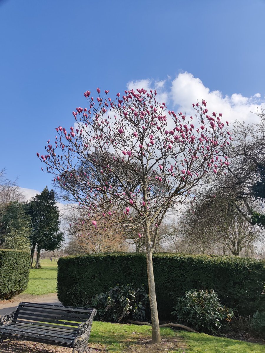 cjotbc's tweet photo. Yardley old park https://t.co/C5h1ArD2S4
