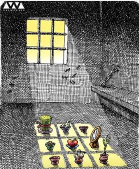 Siamak Farid سیامک فرید tweet media